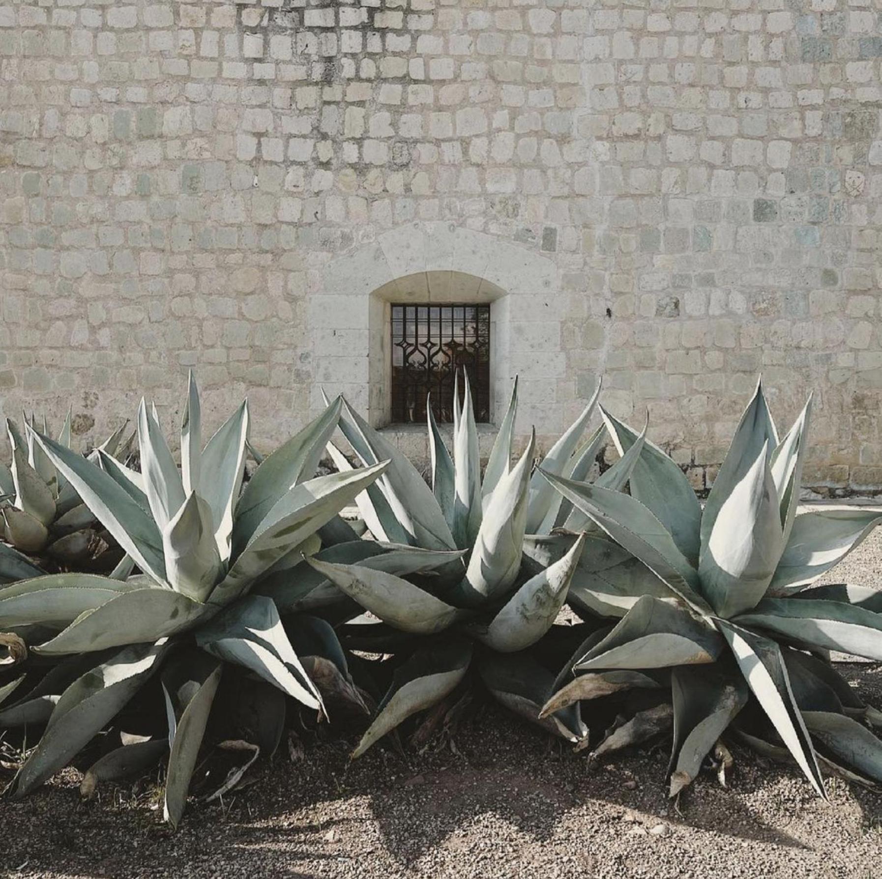 Casa Bonita Hotel & Cocina Oaxaca Exterior photo